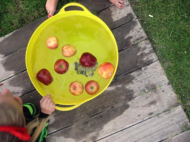 Bucket of water with apples in, prepared for apple bobbing
